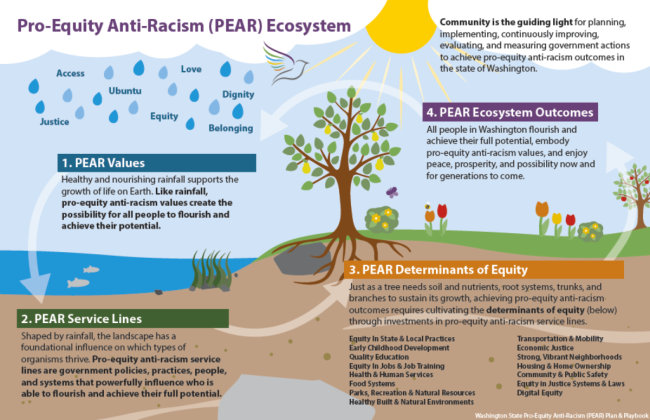 Diagram of PEAR ecosystem with Values, Service Lines, Determinants of Equity and Ecosystem Outcomes